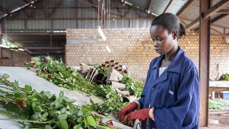 Vrouw in Oeganda werkt in bloemenbedrijf