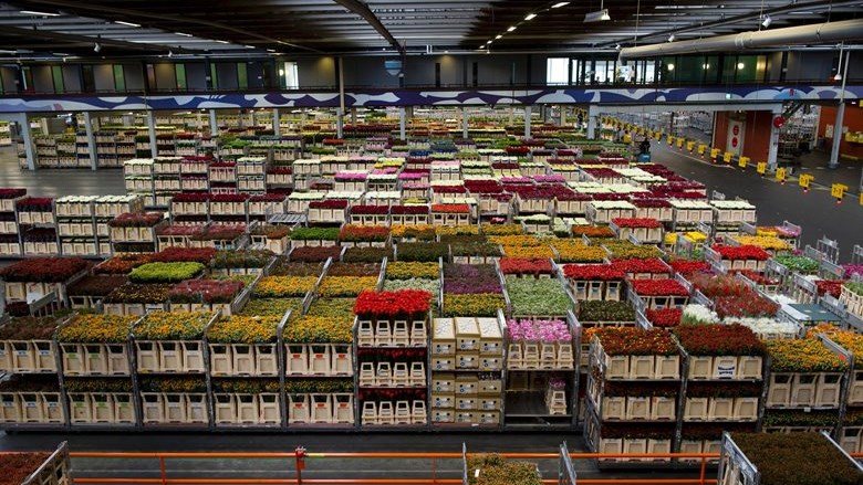 Reactie RFH op verzoek tot behoud afspraken transitievergoeding 50-plussers