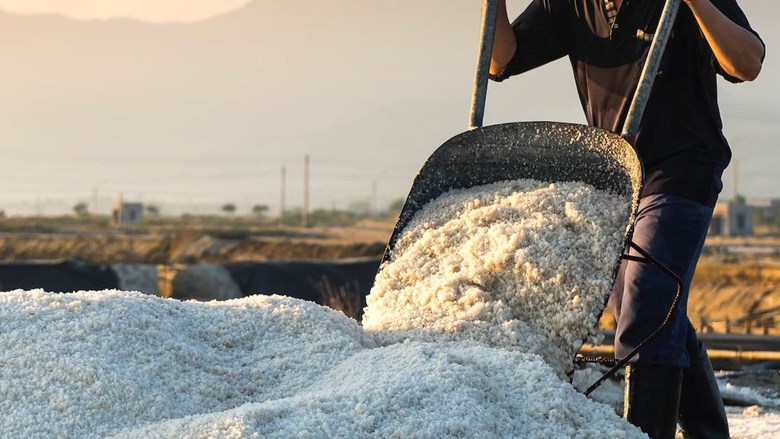 Medewerkers Frisia Zout Harlingen hebben eindelijk nieuwe cao FNV