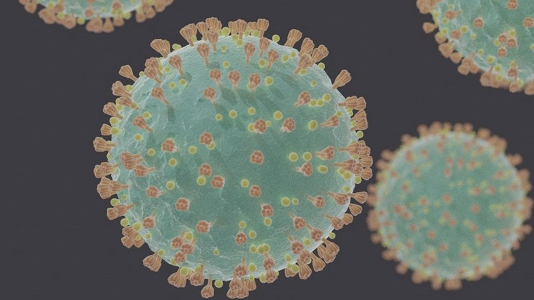 Computer generated representation of COVID-19 virions (SARS-CoV-2) under electron microscope. Door Felipe Esquivel Reed via Wikimedia Commons