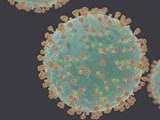 Computer generated representation of COVID-19 virions (SARS-CoV-2) under electron microscope. Door Felipe Esquivel Reed via Wikimedia Commons