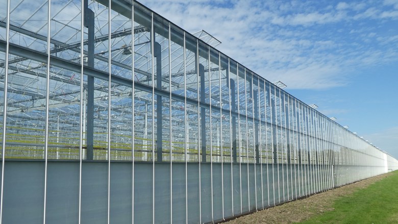 Geen cao Glastuinbouw in 2020