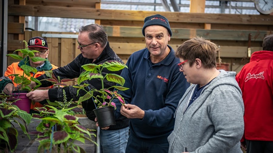 Voer een videogesprek met een pensioenconsulent