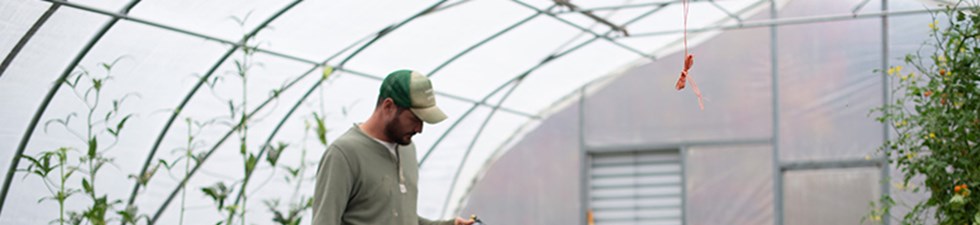 Greenhouse Horticulture
