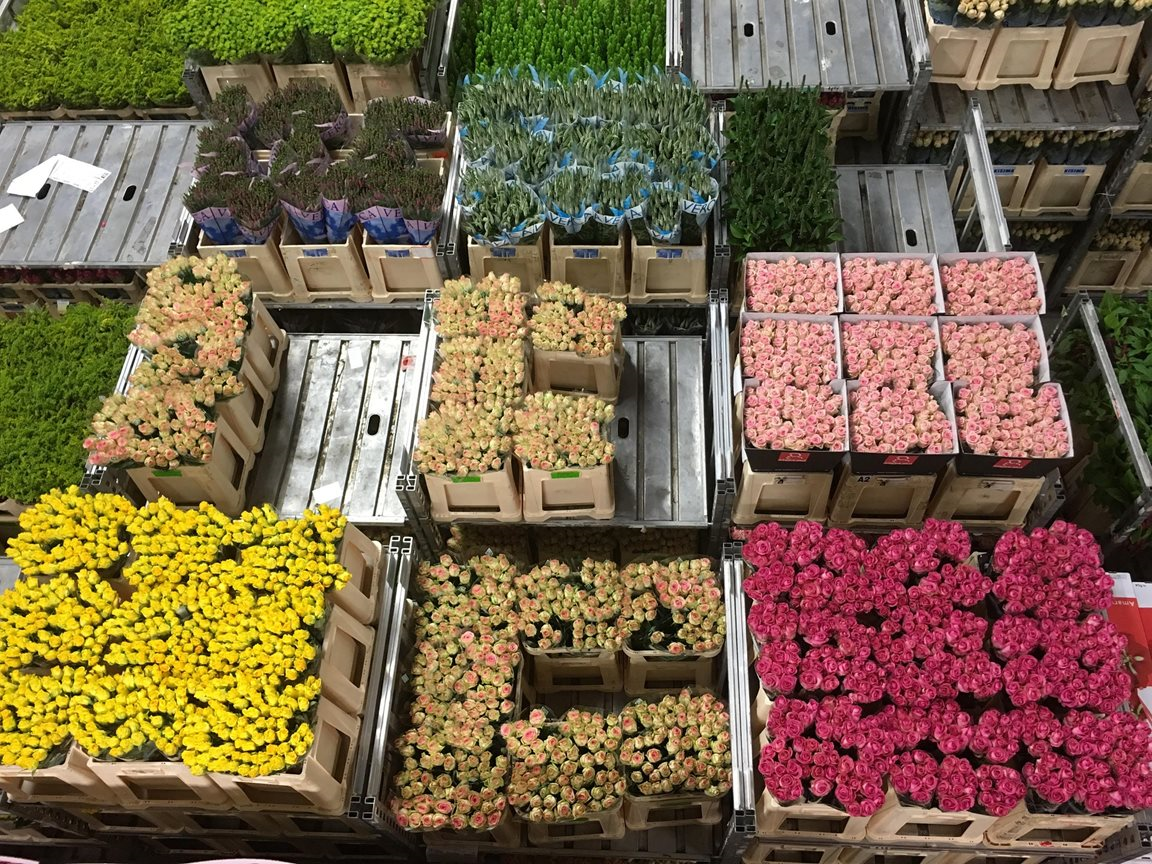 Caoonderhandelingen Groothandel Bloemen en Planten van start FNV