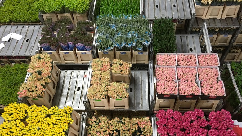 Verhoog jezelf Retentie hoffelijkheid Periodiek overleg Groothandel Bloemen en Planten 26 september 2022 - FNV