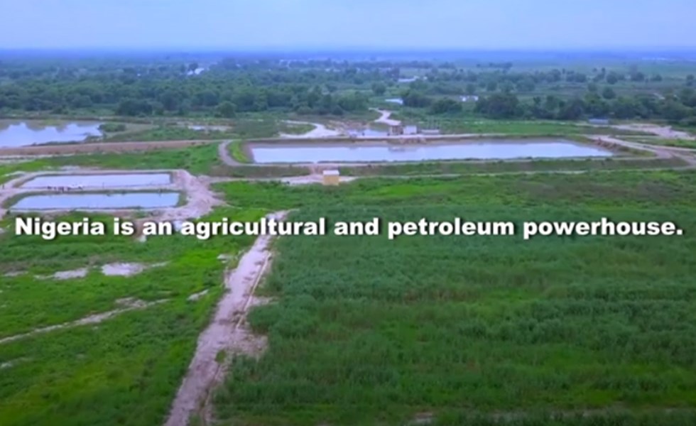 Still video "Nigeria, working together for a just transition to sustainable energy."