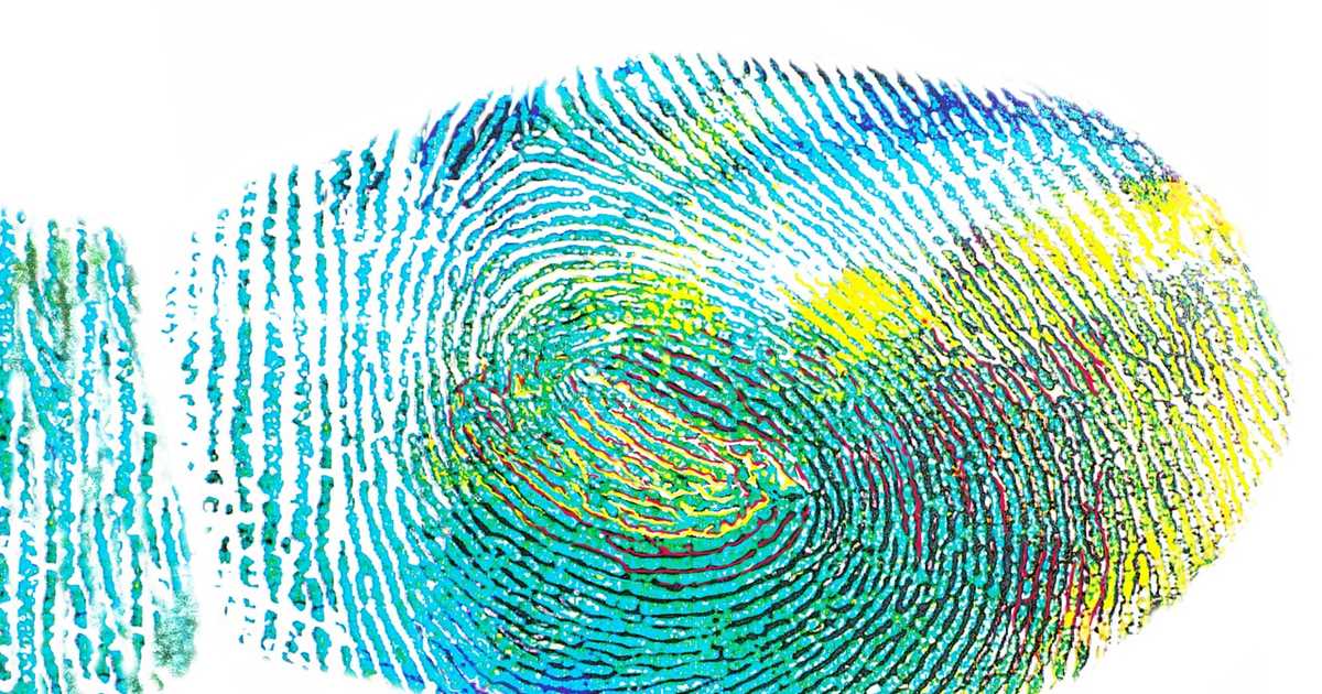 Misstanden Bijstand In Voorne Putten Fnv