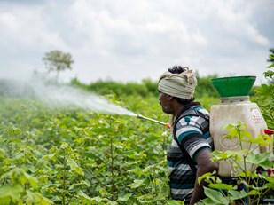 man spraying agro chemicals