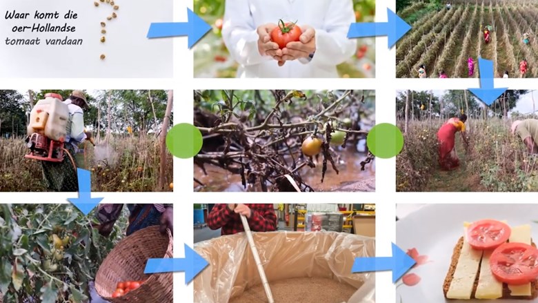 Keten in Beeld: de productie van de tomaat