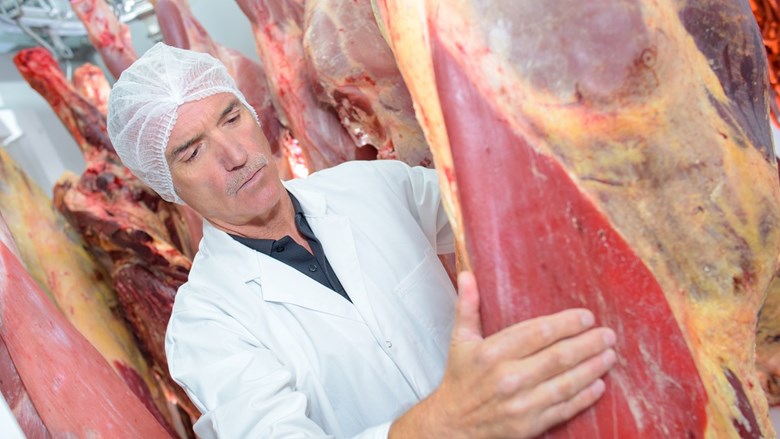 Eerst zien dan geloven of veiligheid in slachthuizen wordt nageleefd